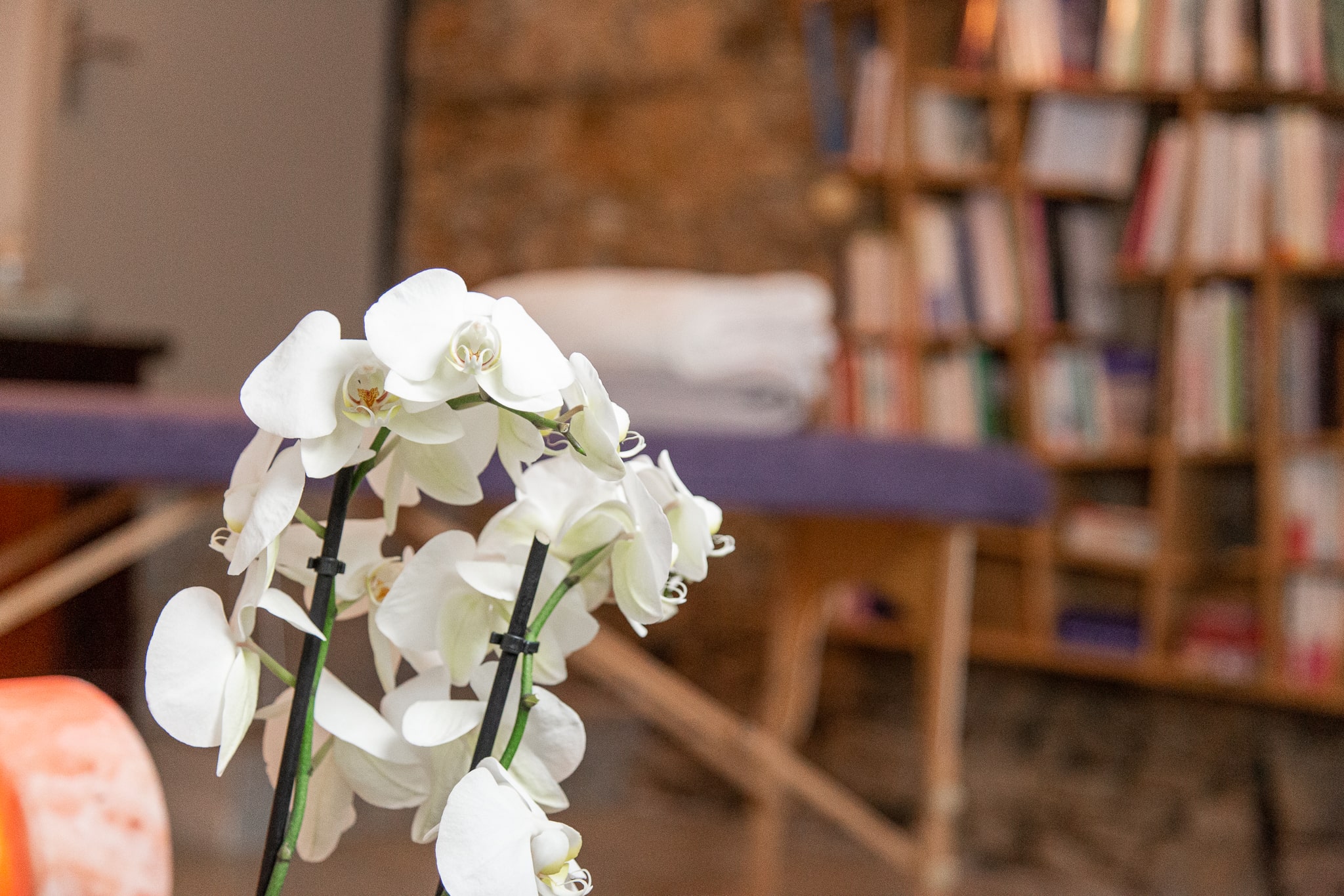 accompagnement des femmes Brains accompagnement des femmes Brains