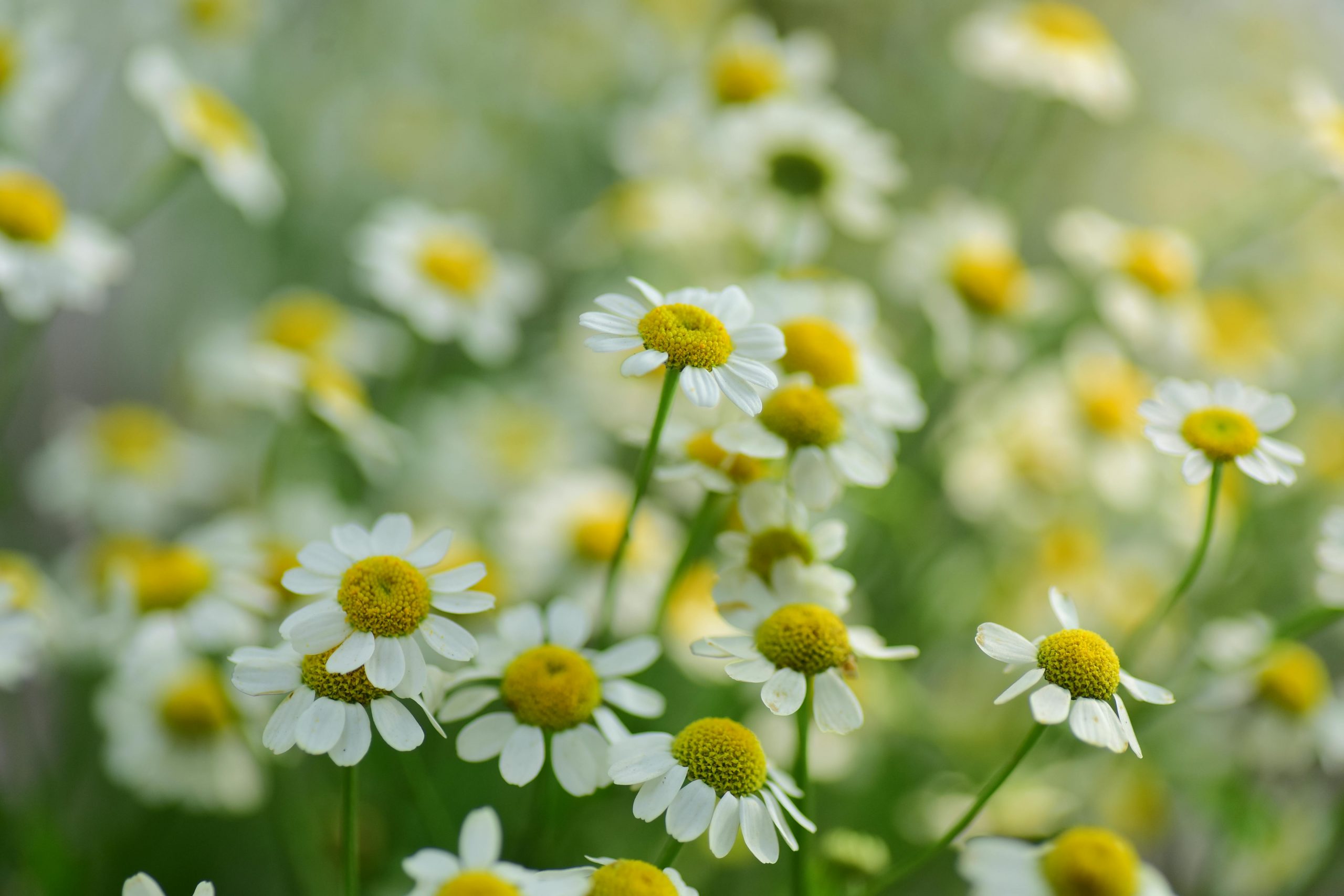 valérie joubier accompagnement des femmes